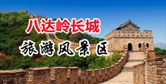 国产三级片人与兽中国北京-八达岭长城旅游风景区